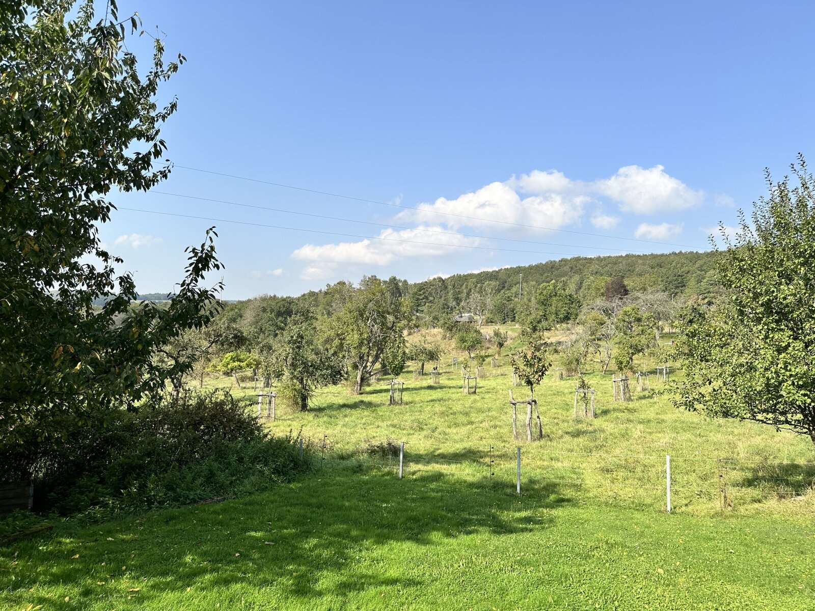 Garten mit Aussicht